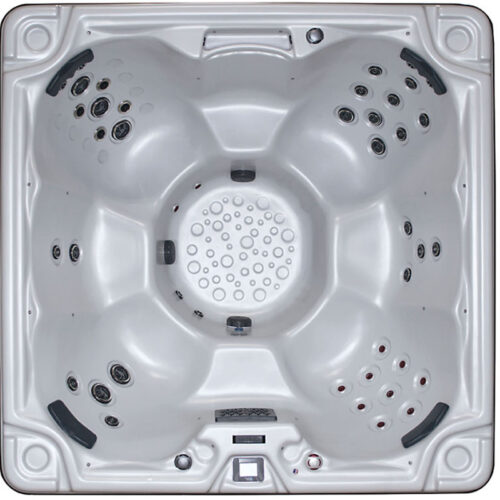 legacy1silver800x.jpg