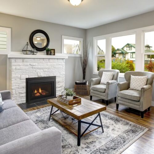 JASPER SERIES INSERT IMAGE.jpg