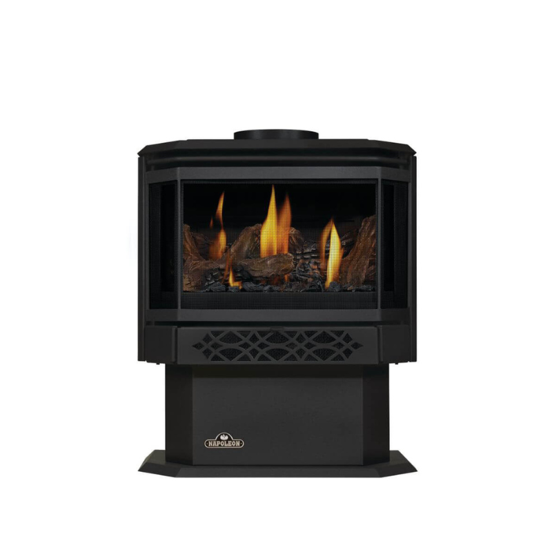 Napoleon Haliburton Gas Stove 1.png