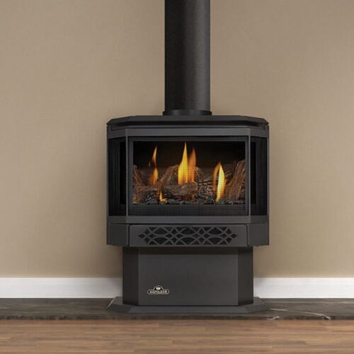 Napoleon Haliburton Gas Stove.jpg