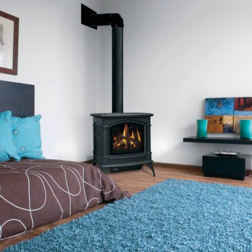 Napoleon Knightsbridge Gas Stove image.jpg