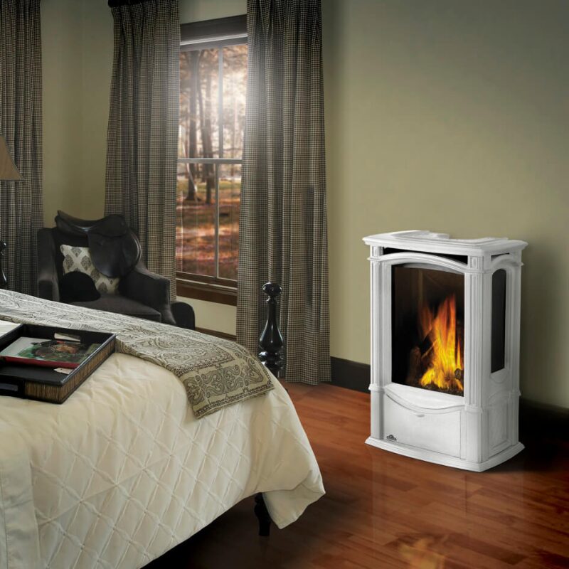 Napoleon castlemore Gas Stove image.jpg