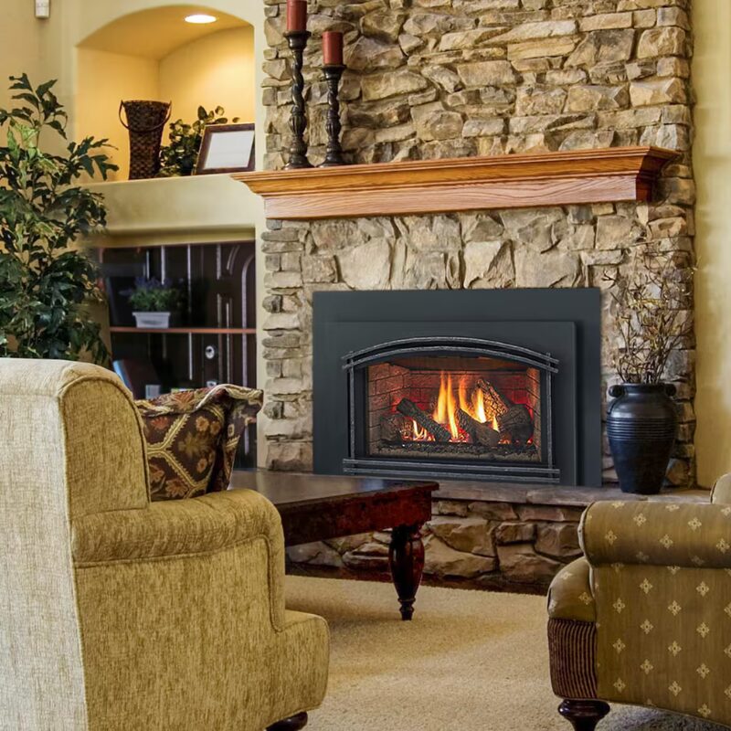 Trilliant Series Gas Insert image 1.jpg