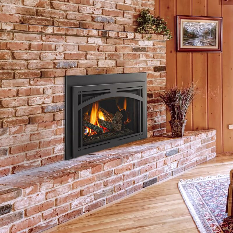 Trilliant Series Gas Insert image 3.jpg