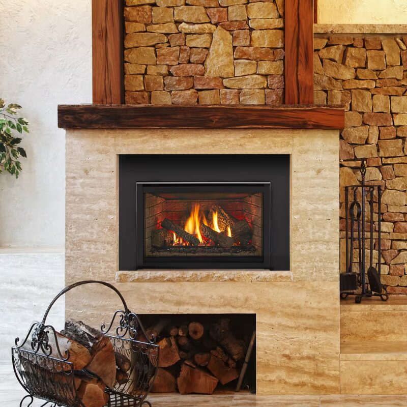 Trilliant Series Gas Insert image.jpg
